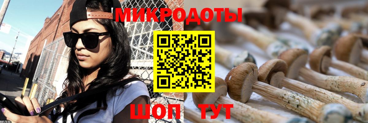 Северодвинск  Галлюциногенные грибы Psilocybine cubensis  Вход с VPN  Галлюциногенные грибы мухоморы 